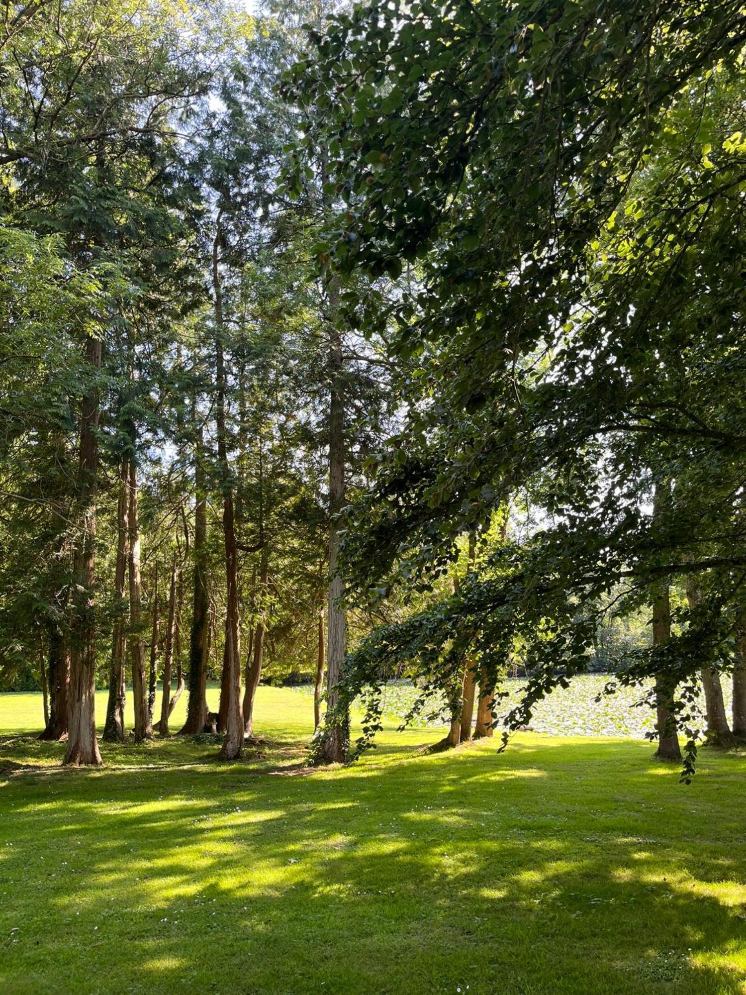 Abbaye De Blanchelande Bed & Breakfast Neufmesnil Dış mekan fotoğraf